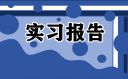 实习报告日记300字